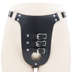 Male Chastity Harness With  Penile Straps - Image 5