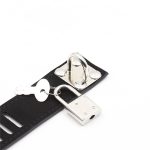 Male Chastity Adjustable Belt Panty - Image 4