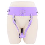 Forced Orgasm Belt and Wand Restraint Kit - Image 4