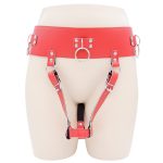 Forced Orgasm Belt and Wand Restraint Kit - Image 5