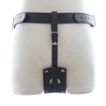 Waist Harness with Cock Ring And Plug - Image 4
