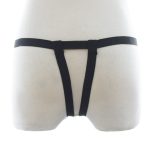 Lesbian Strap on Panty With Front Hole