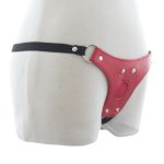 Lesbian Strap on Panty With Front Hole - Image 3