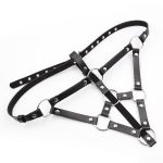 Lesbian Strap on Panty With Front Ring - Image 5