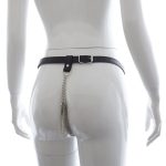 Chain T-back With Nipple Clamp - Image 4