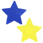 Star Nipple Sticker - Image 5