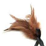 Frisky Feather Duster With Bow - Image 3