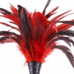 Frisky Feather Duster - Image 4