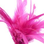 Tantra Feather Teaser - Image 5
