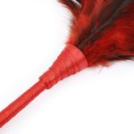 Feathers Tickler - Image 4