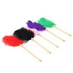 Flirting Feather Stick