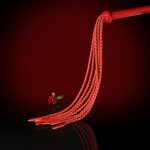 Premium Leather Cat O' Nine Tails Whip - 80cm - Image 12