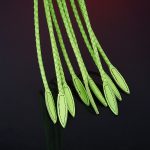 Premium Leather Cat O' Nine Tails Whip - 64cm