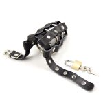 Locking CBT With Two Metal Ring - Image 4