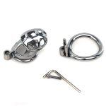 Hex Screw Cobra Chastity Lock - Image 2