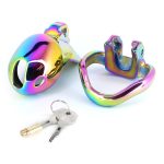 Rainbow Male Metal Chastity Cage HTV3 - Image 2