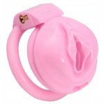 Labia Chastity Cage - Image 6