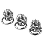 Spike Alloy Chastity Cock Cage - Image 2