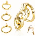 Chastity Cage Locked with 3 Active Sizes Rings - Image 7