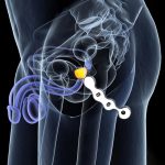 Ball Beads Prostate Plug - Image 7