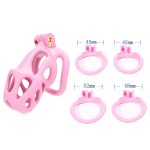 Cobra ES6 Chastity Device Kit - Image 8