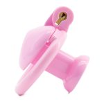 Heart Shape Chastity Cage - Image 3