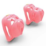 Embedded Sissy Chastity Cage - Image 6