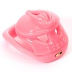 Embedded Sissy Chastity Cage - Image 9