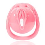 Embedded Sissy Chastity Cage - Image 10