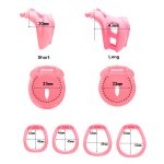 Embedded Sissy Chastity Cage - Image 4