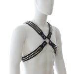 Harness With Two Rows O Shiny Pyramid Studs - Image 5