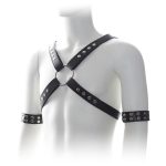Male Chest Harness With Arm Cuffs - Image 6