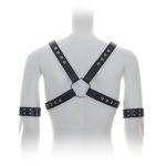 Male Chest Harness With Arm Cuffs - Image 2