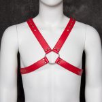 Deluxe Leather Chest Harness - Image 7