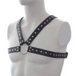 Leather Harness with Stud Detailing - Image 2