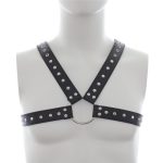 Leather Harness with Stud Detailing - Image 4