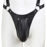 Male Chastity Panties With Harness - Image 5