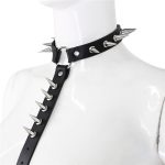 Spike Nail Collar to Waist Harness - Image 3