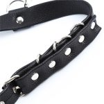 Body Harness with Hook - Image 5