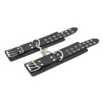 Double Pin Lock Cuff & Collar Kit
