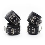 Double Pin Lock Cuff & Collar Kit - Image 2
