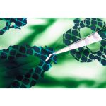 Animal Cosplay Costume - Frogman - Image 4