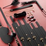 Bondage Sets Restraint Kits -12 pcs