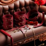 Bondage Sets Restraint Kits -12 pcs - Image 2