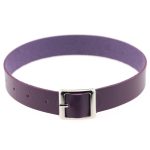 Harajuku Punk Rock Leather Collar - Silver - Image 11