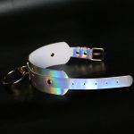 Laser Silver O Ring Collar - Image 2