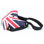 British Locomotive Mask - Image 5