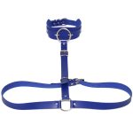 Waist Belt strap With O Ring Collar - Image 6
