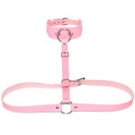 Waist Belt strap With O Ring Collar - Image 13