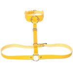 Waist Belt strap With O Ring Collar - Image 2